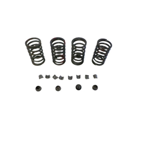 Engine Springs with valve caps for FIAT / LONG / UTB Universal tractors 550 640